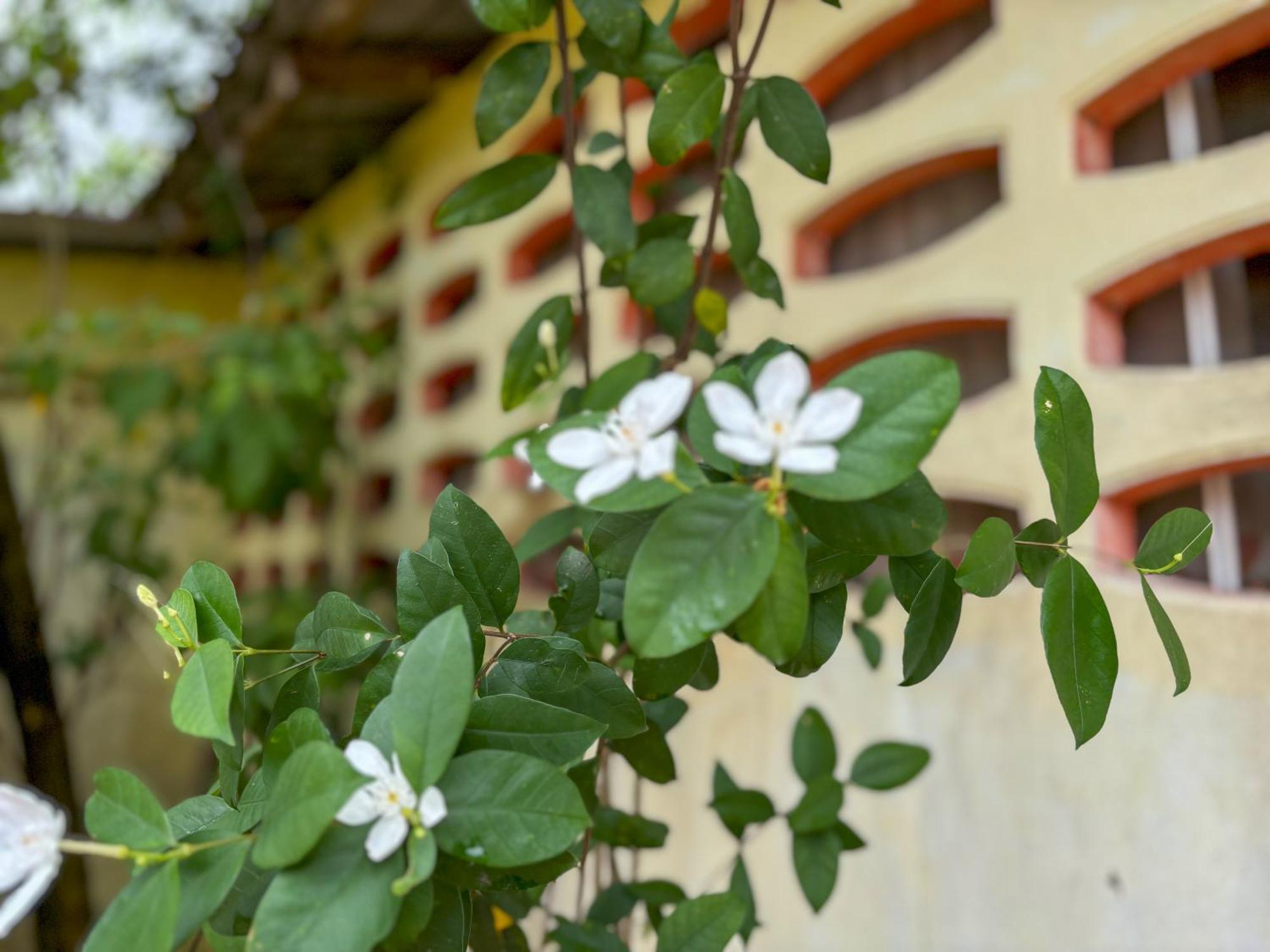 Les Fleurs House Bed & Breakfast Khao Lak Exterior photo