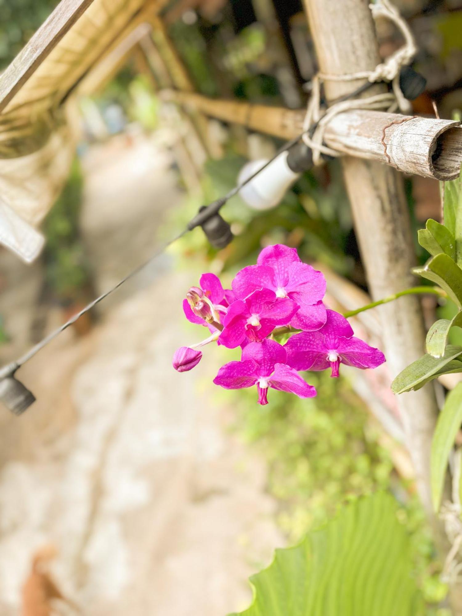 Les Fleurs House Bed & Breakfast Khao Lak Exterior photo