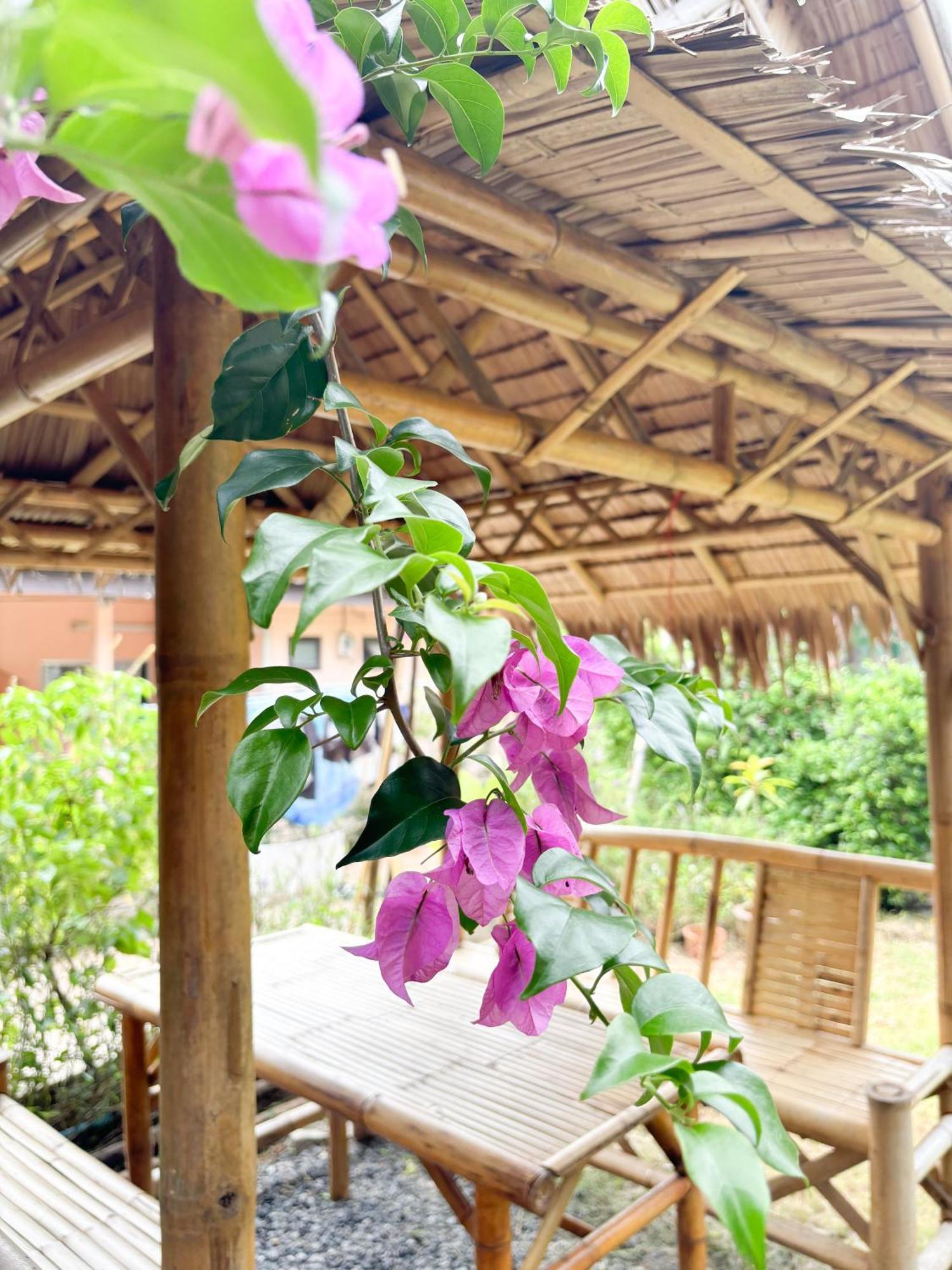 Les Fleurs House Bed & Breakfast Khao Lak Exterior photo